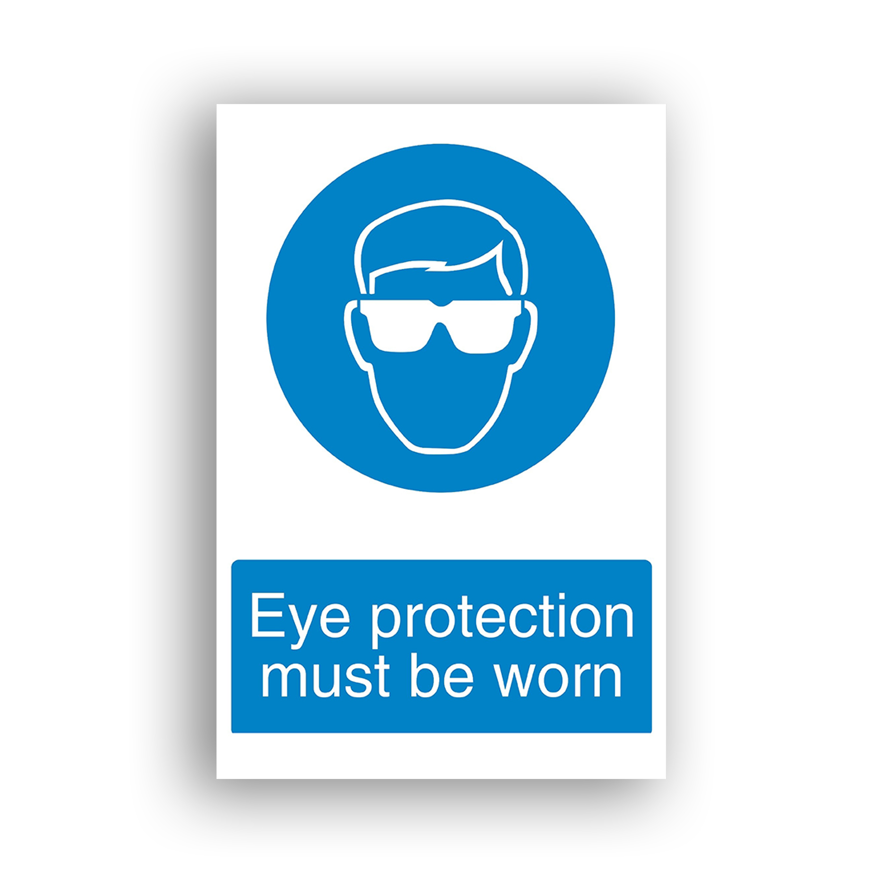 Eye Protection Must Be Worn mandatory sign safety sign with white outline of a human head wearing safety spectacles/goggles, centred on a solid blue circle.