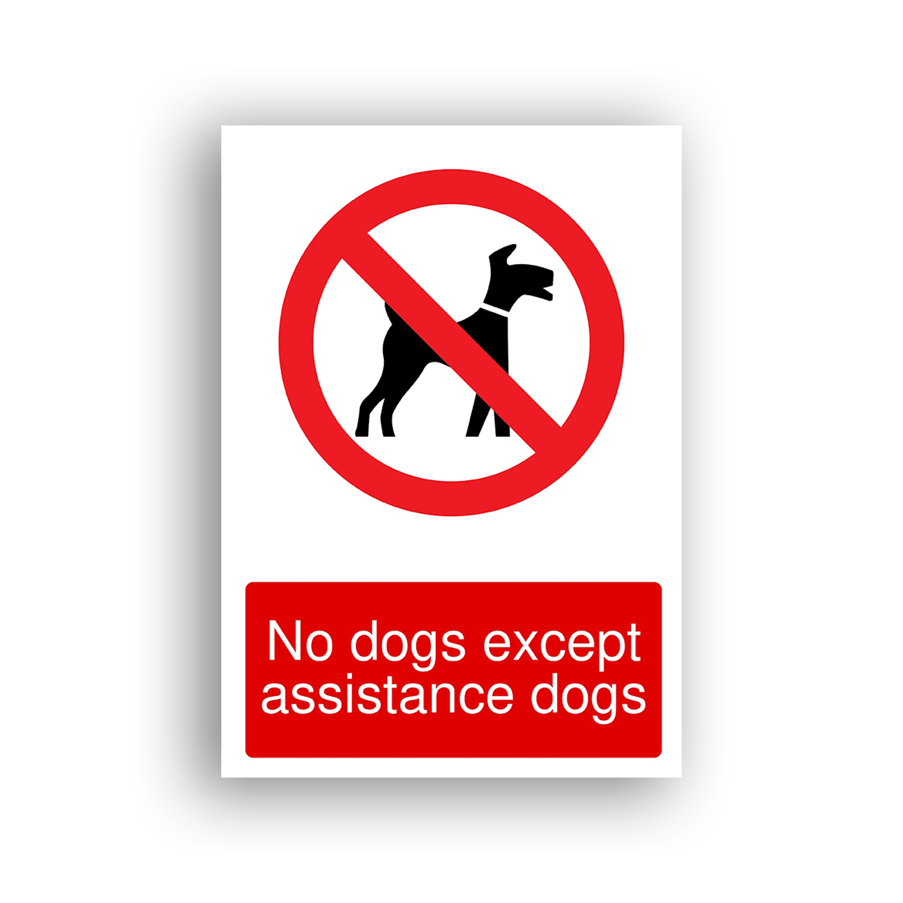 No Dogs Except Assistance Dogs prohibition sign safety sign with black silhouette of a dog within a red prohibition circle crossed by a diagonal red bar.